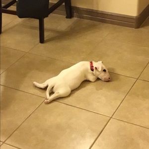 Meet your Posher, Andrea